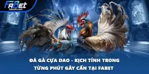 Đá Gà Cựa Dao
